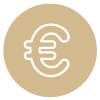 Icon euro